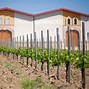 Image result for Arche Pages Emporda Ull Serp Finca Closa