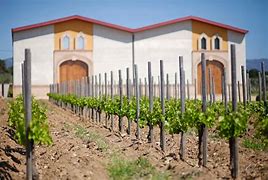 Image result for Arche Pages Emporda Ull Serp Finca Closa