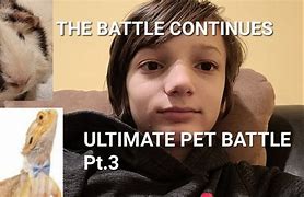 Image result for Battle Pets Mod