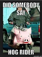 Image result for Best Moteorcycle Hog Meme