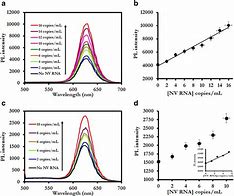 Image result for Quantum Dot Nanocrystals