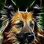 Image result for fixterrier