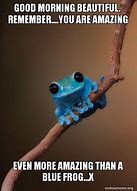Image result for Amazing Frog Meme