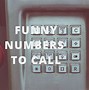 Image result for Joke Phone Numbers