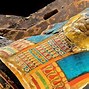 Image result for Mummies of the World Exhibition