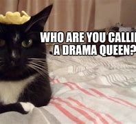 Image result for Drama Queen Funny Memes