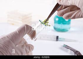 Image result for Cloning Laboratory