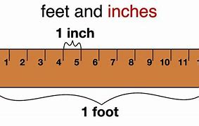 Image result for 56 Inches in Feet