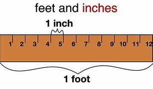 Image result for How Many Inches Are in 8 Feet