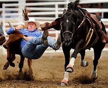 Image result for Rodeo Roping Cowboy