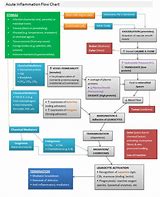 Image result for Acute Inflammation Process