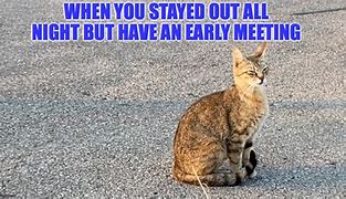 Image result for Early Morning Meeting Meme