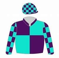 Image result for Dubai Horse Racing