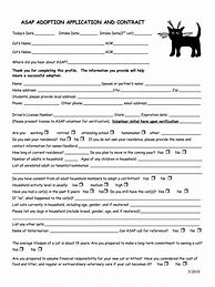 Image result for Cat Contract You Promise To
