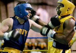 Image result for Boxing Sparring