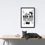 Image result for frame cats quote