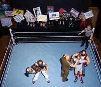 Image result for WWE Figures