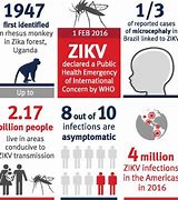 Image result for Zika Virus Adult