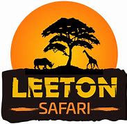 Image result for Best Safari Logo Samples