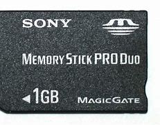 Image result for Memory Stick Pic