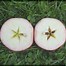 Image result for Red Almata Apples