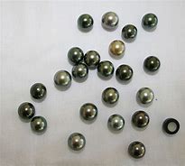 Image result for Quahog Clam Beads