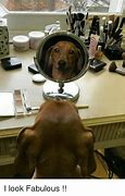 Image result for Looking Fabulous Meme