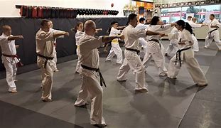 Image result for Kyokushin Kihon