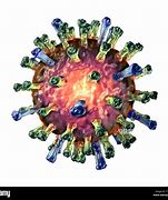 Image result for Sarampion Virus