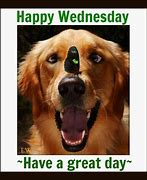 Image result for Monday the Best Day of the Week Meme