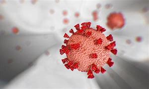 Image result for Coronavirus Symptoms