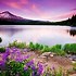 Image result for Beautiful Desktop Nature