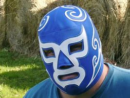 Image result for Wrestling Masks