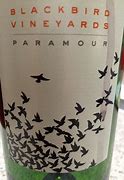 Image result for Blackbird Paramour