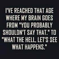 Image result for Top 100 Funny Quotes