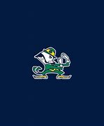 Image result for Notre Dame iPad Cover