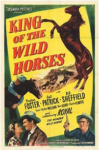 Image result for Horses in Movie Posters