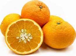 Image result for Citrus Amanatsu