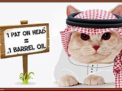 Image result for Arabian Cat Meme