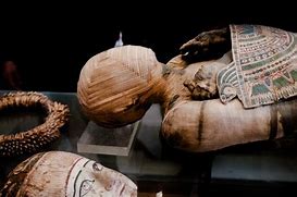 Image result for Embalmed Mummy
