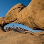Image result for Wildlife in Spitzkoppe