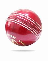 Image result for Cricket Trophy