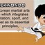 Image result for Karate in Real Fight