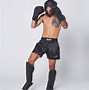 Image result for Muay Thai Shin Guards