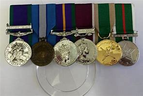 Image result for Pocket Medal Holder