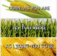 Image result for Corny Pun Memes
