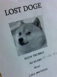 Image result for Lost Doge Meme