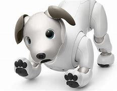 Image result for Aibo Robotic Dog