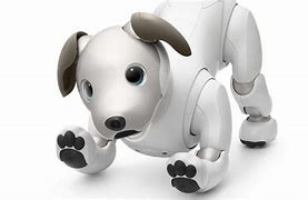 Image result for What Is an Aibo Robot