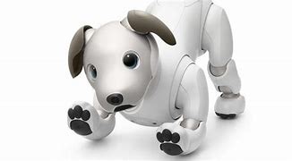 Image result for Takino Robotic Aibo Dog